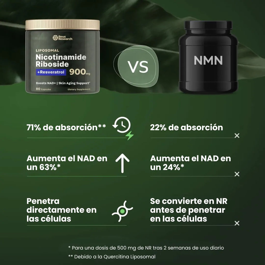 gid://shopify/MediaImage/33089339752618